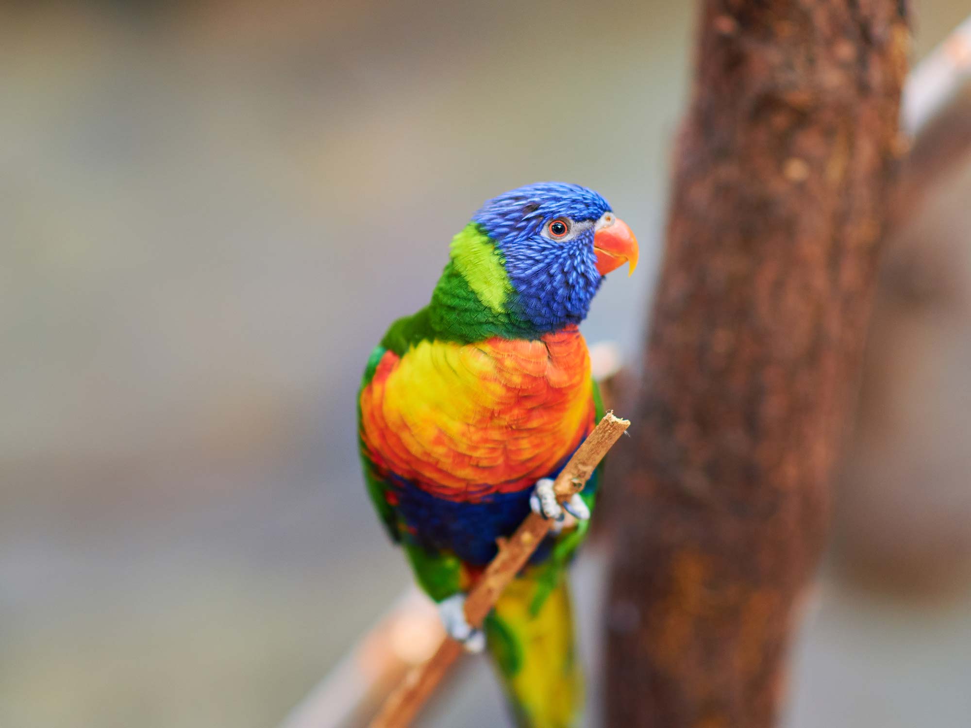 Allwetterzoo Münster